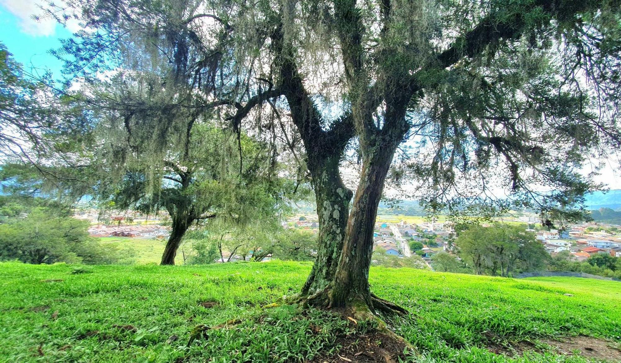 Cabana Canto Lindo - Urubici-Sc Kültér fotó